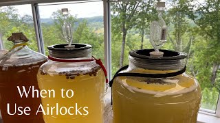 When to Use an Airlock When Making Moonshine or Brewing [upl. by Gytle]