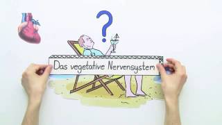 DAS VEGETATIVE NERVENSYSTEM  Biologie  Neurobiologie und Verhalten [upl. by Ennaitsirhc518]