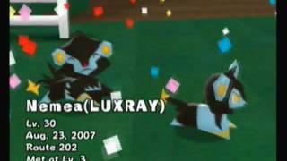 My Pokemon Ranch Parade  All 493 [upl. by Ittak]