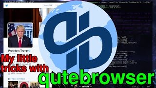 qutebrowser  All the Cool Kids should try it [upl. by Wakeen]