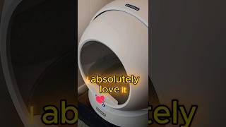 This Automatic Cat Litter Box is So Good [upl. by Heall539]