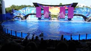 SeaWorld Orlandos quotOne Oceanquot Show  OPENING DAY Full Show [upl. by Anaizit]