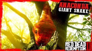 RDR2 Giant SNAKE location  anaconda on the tree 🤠🤠🤠 [upl. by Alegna]