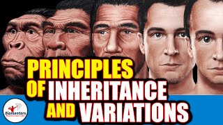 Principles Of Inheritance amp Variations l Lecture 1 l Biology l NEET [upl. by Ellerehs]