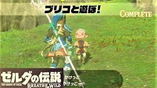 【プリコと遊ぼ！  プリコのイベント】 攻略 ゼルダの伝説 ブレスオブザワイルド quotPlaytime with Cottlaquot Zelda  BREATH OF THE WILD [upl. by Valeria]