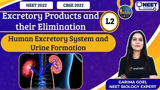 Sankalp Excretory Products and their Elimination L2  NEET Toppers  Garima G [upl. by Perlman915]