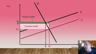 A level Economics for EdExcel Subsidies [upl. by Analos]