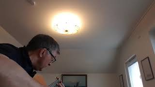 Scherzino Mexicano by Manuel M Ponce arr ML Ramos played by Rolf Ranehov [upl. by Negeam42]