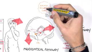 Brief Introduction to Psychosis [upl. by Dreddy]