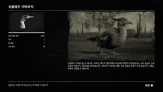 레드 데드 리뎀션 2  동물학자 【신열대구 가마우지】 Red Dead Redemption 2  Zoologist Neotropic Cormorant Location [upl. by Caasi667]