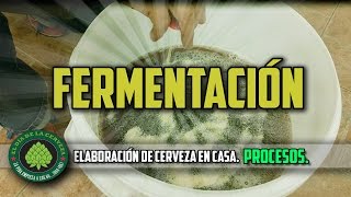 Cómo hacer Cerveza artesanal y casera Receta cerveza 🍾😋 [upl. by Masao670]