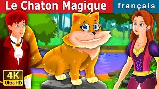 Le Chaton Magique  The Magical Kitty Story in French  Contes De Fées Français [upl. by Angil599]