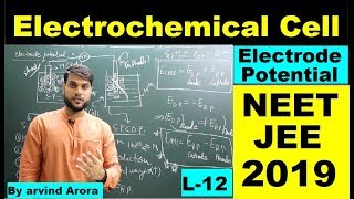 L12 Electrochemical cellElectrode Potential  NEET JEE AIIMS 2019 Electrochemistry By AArora [upl. by Anayk613]