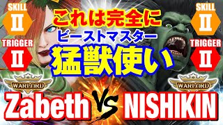 スト5 ザベス（ファルケ）vs ニシキン（ブランカ） これは完全にビーストマスター ZabethFalke vs NISHIKINBlanka SFV [upl. by Neffirg]