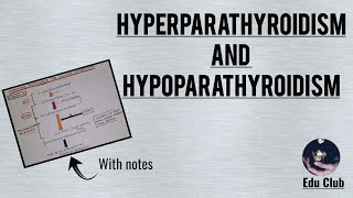 Hyperparathyroidism And Hypoparathyroidism  Disorders Of Calcium Homeostasis [upl. by Mateo]