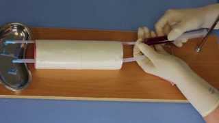 How to Setup the Venipuncture Trainer [upl. by Hurless]