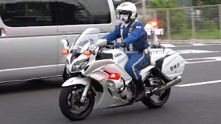 白バイ（FJR1300P）緊急走行・取締りの瞬間！近未来的なサイレン音でスピード違反も信号無視も一時不停止も全員検挙スペシャル！Japanese police motorcycle [upl. by Drusi]