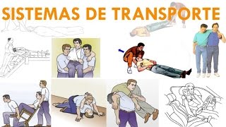 SISTEMAS DE TRANSPORTE [upl. by Ortensia164]