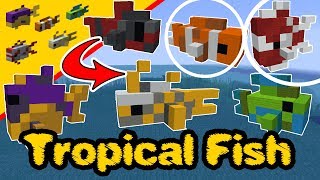 Minecraft tropical fish  Tropical fish Statue  Fish PS4 XBox PC Pocket Edition Switch [upl. by Auvil170]