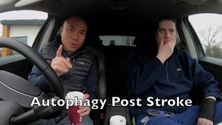 Autophagy Post Stroke [upl. by Adler158]