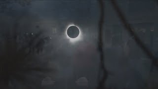 How did Buffalo Zoo animals react to the total solar eclipse [upl. by Lewis]