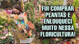 ACHO que EXAGEREI COMPRANDO PLANTAS e SUCULENTAS nessa floricultura [upl. by Kurtis]