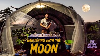 MOON PLANTING  Unlocking a Seeds Full Potential [upl. by Laenaj]