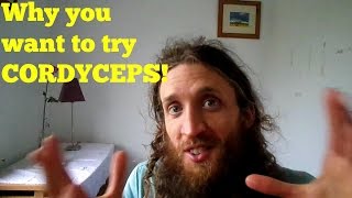 The Benefits of Cordyceps and How it Compares to Others Top Tonic Herbs [upl. by Ban]