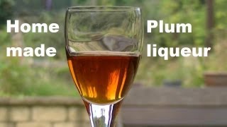 Home Made Plum Liqueur [upl. by Barstow433]