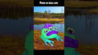 Fwog in real life  My Singing Monsters [upl. by Oileduab]