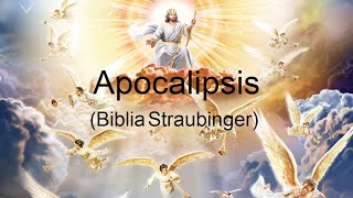 Apocalipsis  Biblia Straubinger [upl. by Miahc]