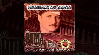 El Puma de Sinaloa  Heridas de Amor [upl. by Kyre577]