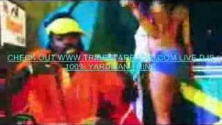 BEENIE MAN BACK IT UP VIDEO [upl. by Yarled642]