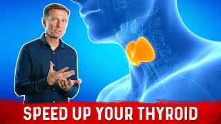 How to Get Your Thyroid to Work Correctly [upl. by Hendrika]