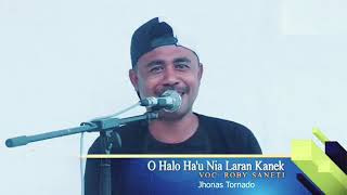 Roby cover O nia hahalok hau nia laran morasCitp Jonas [upl. by Ternan731]