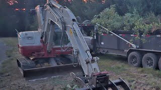 More brush clearing with the Takeuchi TB260 Takeuchi miniexcavator tb260 brushclearing [upl. by Sirac819]