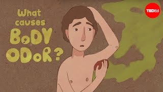 What causes body odor  Mel Rosenberg [upl. by Naibaf]