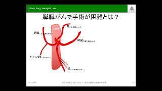 令和５年１２⽉１４⽇（木）山形大学医学部東日本重粒子センターオンラインセミナー【第２部：膵臓がんへの重粒子線治療の適応・実績と奏効例に対するコンバージョン手術】 [upl. by Maighdlin]