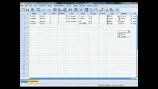 Variabelen in SPSS definiëren value labels wwwwiskundelerennl [upl. by Steward877]