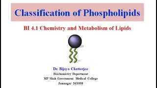 Classification of Phospholipids [upl. by Yrellam]