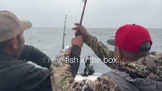 Albacore Tuna Fishing Newport Oregon [upl. by Luapleahcim378]