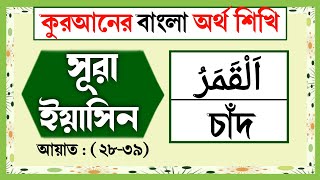 সূরা ইয়াসিন বাংলা অর্থসহ  আয়াত ২৮৩৯  surah yasin bangla  quran bangla translation full [upl. by Nirrat]