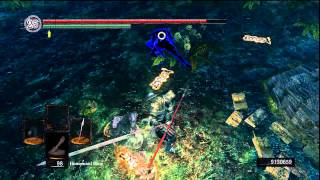 Dark Souls PvP No Respect for the Forest Hunters pt 1 [upl. by Reade967]