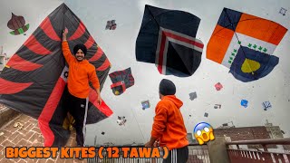 Flying Kites On Sunday 😱 12 TAWA Patangbazi  Kite Vlog [upl. by Britney882]