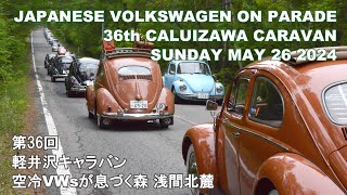 50台の空冷VWsが森の中ですれ違う カブトムシが浅間北麓の森で大発生 Volkswagen on parade 36th Caluizawa Caravan Sunday May 26 2024 [upl. by Kennard928]