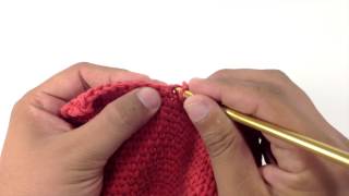 How to Crochet the Split Single Crochet Stitch [upl. by Finstad]