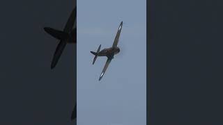 Curtiss P40C Tomahawk Flyby  avgeeks aviation airplane wwii warbirds p40 [upl. by Dadinirt]