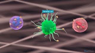 The Role of Epithelial Cytokines in CRSwNP [upl. by Htebazile]