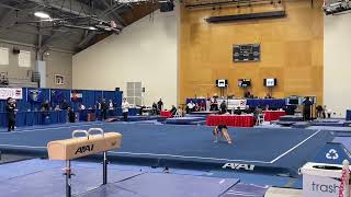 Azarian Team Cup 2023  Floor Routine  Level 4 Mens Gymnastics [upl. by Pride374]