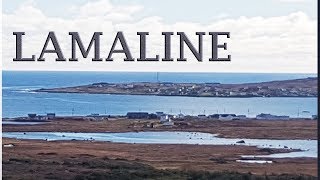 Jason R Martin LAMALINE Newfie Music NL Music Newfoundland Music Country Music Viral True Story Song [upl. by Leahcimed]